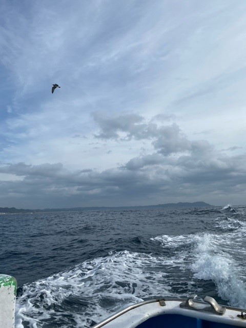 超高級魚マハタも狙える南房の根魚五目