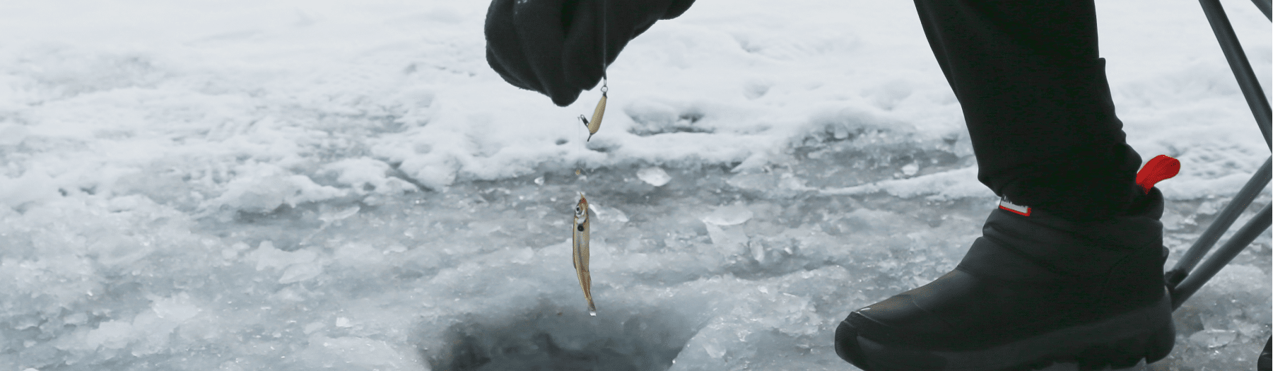 Japanese Pond Smelt