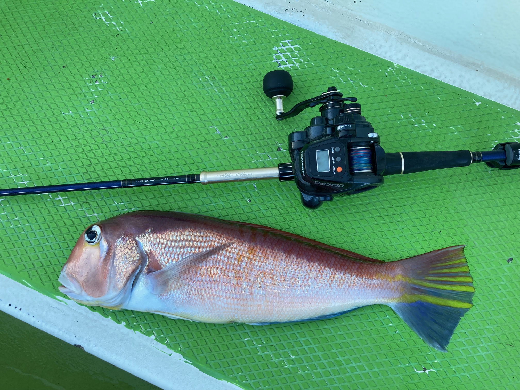 あらためて・・・アマダイ釣りを考えてみた