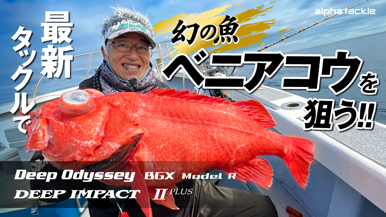 241112_サムネ_atベニアコウ