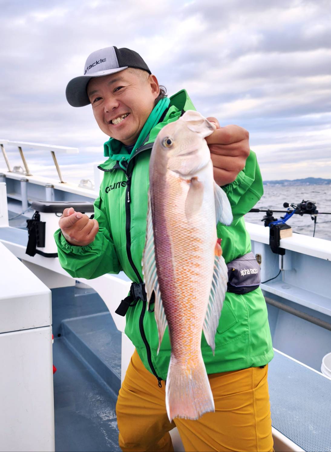 師走のアマダイ