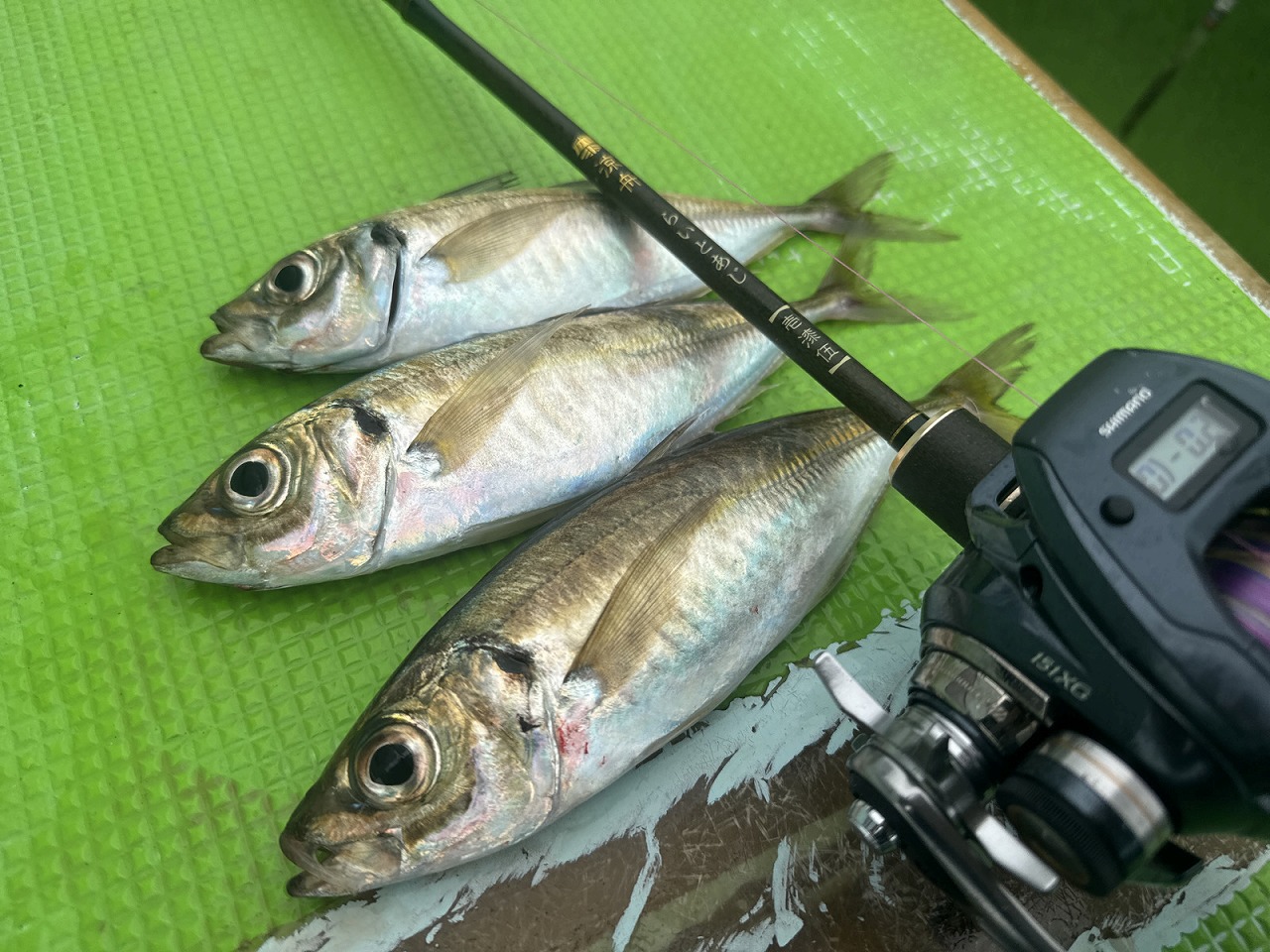 実釣を通して感じた「涼舟 らいとあじ」の魅力とは？　クラシカルなデザインと確かな性能を高次元で両立